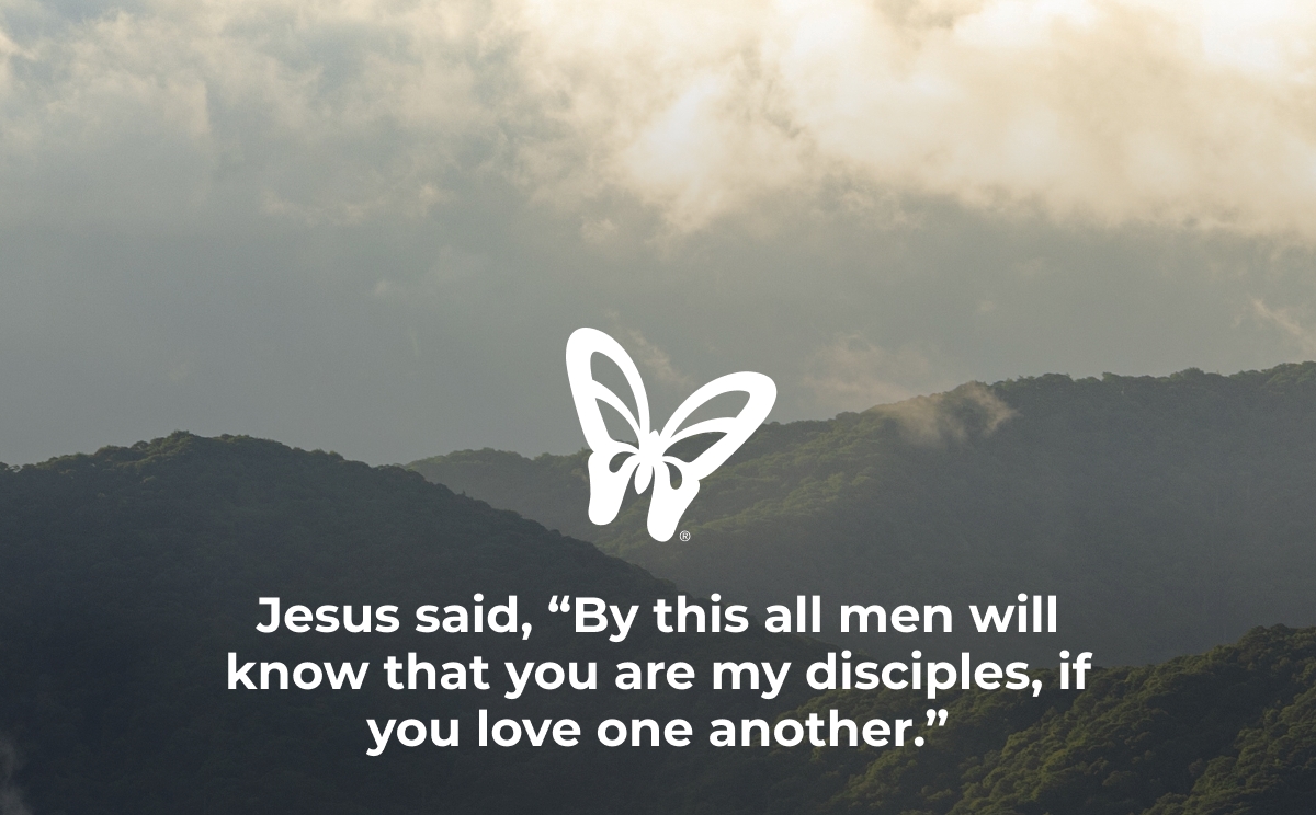 540684257_1216385067200289_9033596168188717359_n