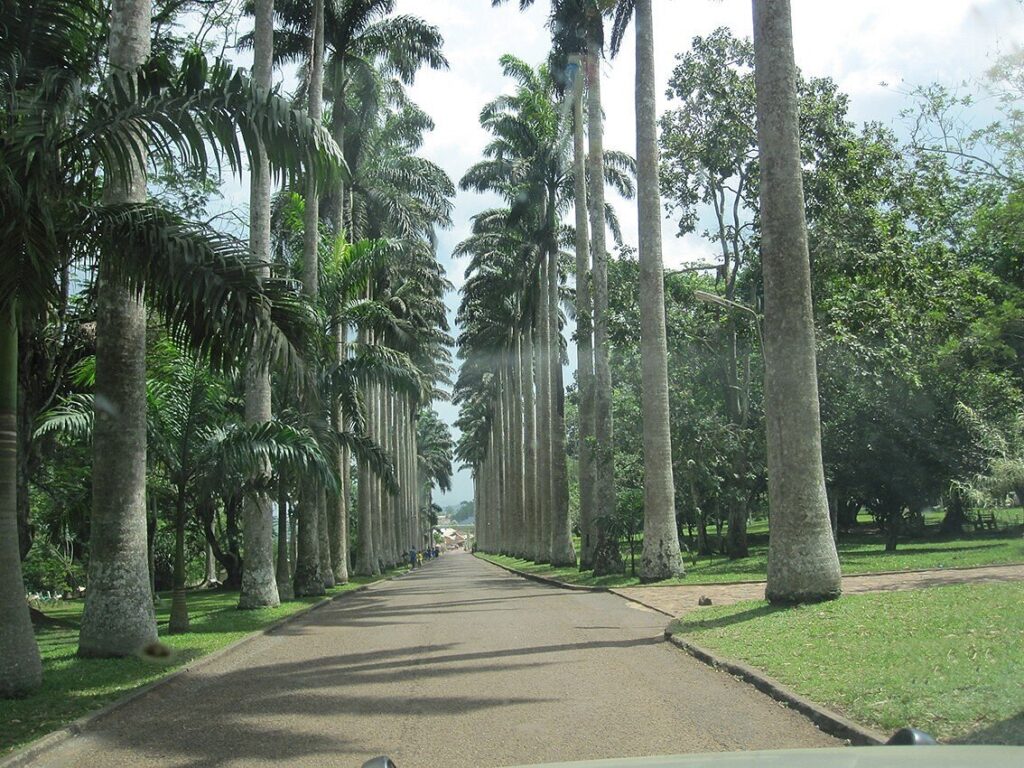 ABURI GARDENS